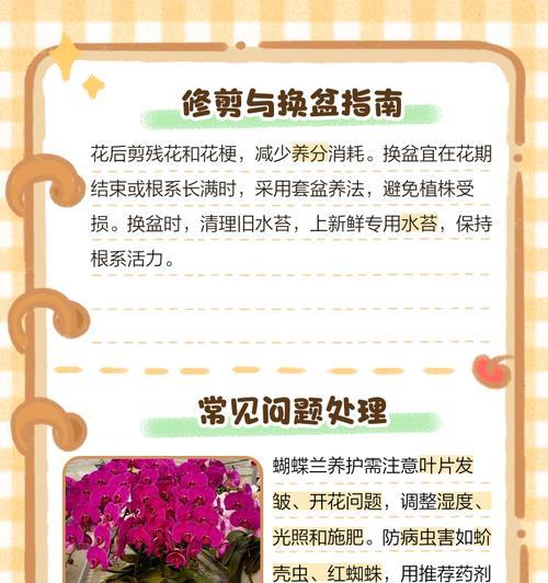 蝴蝶兰的养护方法和常见问题解答？