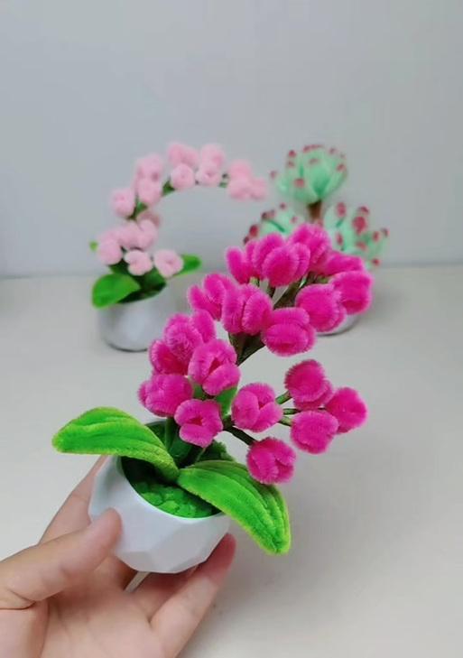 勿忘我种植的技巧和注意事项有哪些？