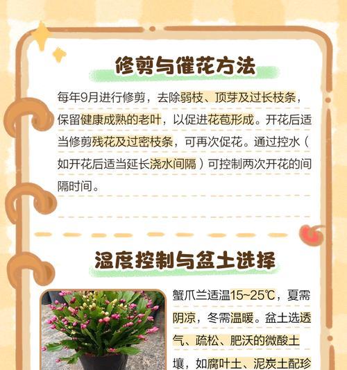 蟹爪兰的养殖技巧和常见问题解答？