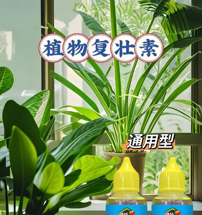绿植怎么施肥？给绿植施肥的方法是什么？