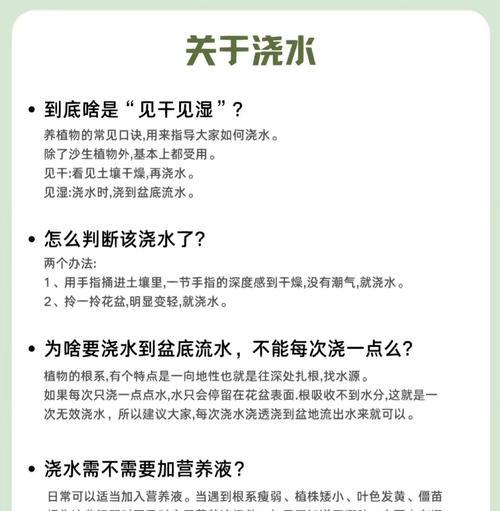 绿植怎么施肥？给绿植施肥的方法是什么？