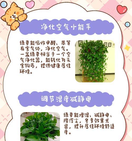 绿萝出现虫害怎么办？如何有效处理？