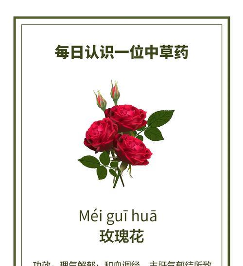玫瑰花束保鲜的秘诀是什么？