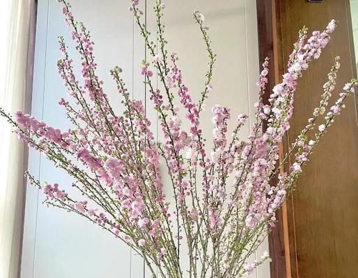 能水培的花有哪些？水培花卉的养护技巧是什么？