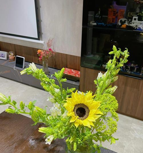 能水培的花有哪些？水培花卉的养护技巧是什么？