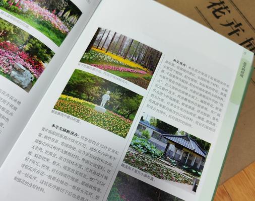 花卉有哪些功能和作用？了解花卉功能对园艺有何帮助？