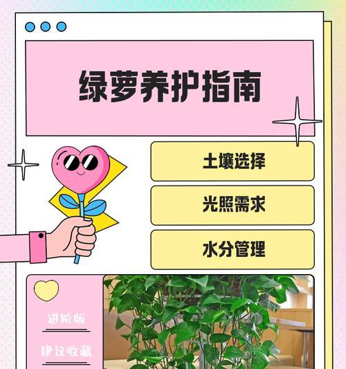 绿巨人植物的正确养护方法？