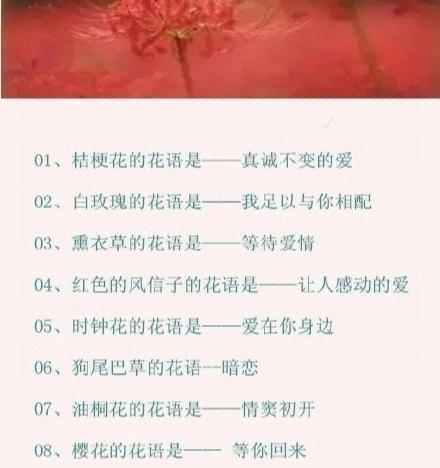 梅桩养护方法是什么？如何保持其健康生长？