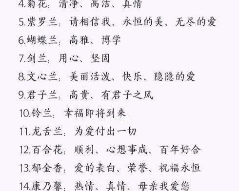 梅桩养护方法是什么？如何保持其健康生长？