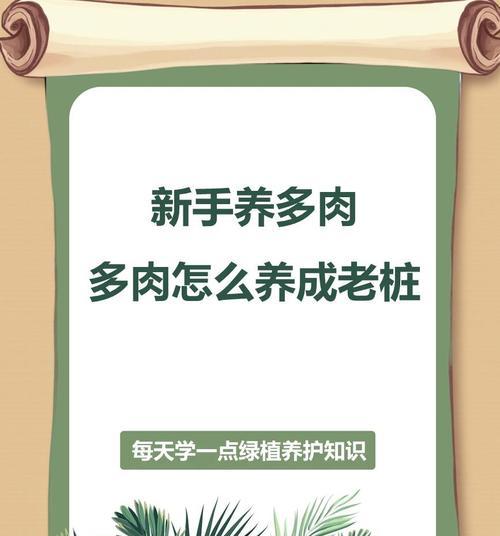 植物徒长后如何转变为老桩？有哪些技巧可以加速老桩形成？