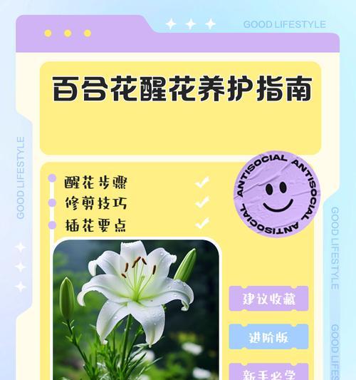 百合花后如何养护？百合开花后正确的养护方法是什么？