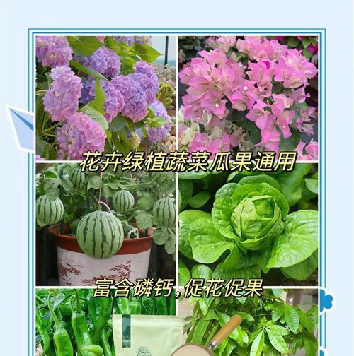 骨粉在养花中的作用是什么？如何正确使用骨粉？