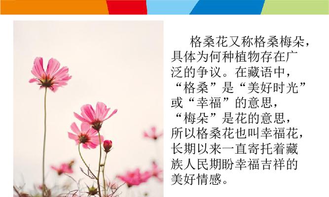 格桑花的种植和养护技巧是什么？