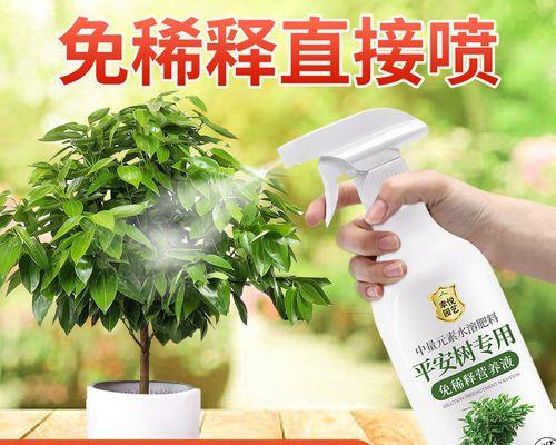 树叶子干黄的预防和解决办法？