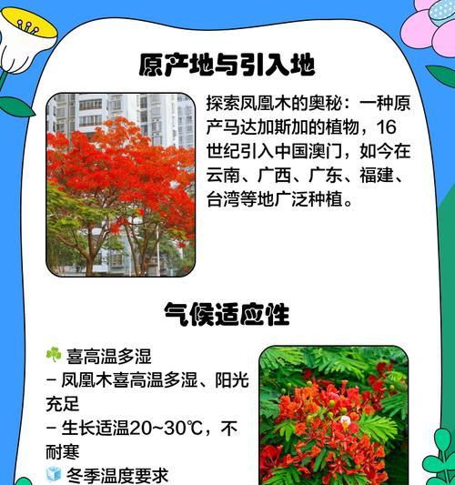 凤凰木种子播种的正确步骤是什么？