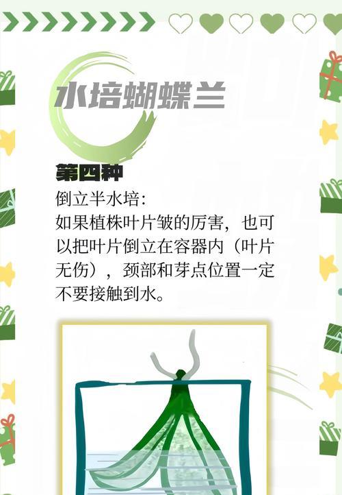 蝴蝶兰培植需要注意什么？