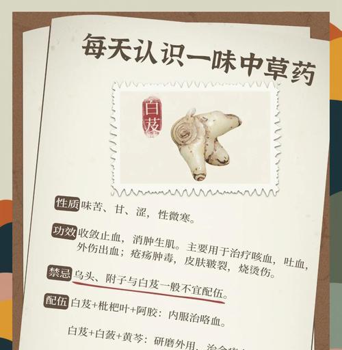 白芨干种植方法是什么？如何正确进行白芨的干种植？