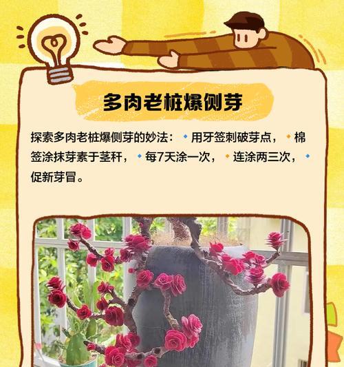 紫薇老桩催芽剂使用方法是什么？使用后多久见效？