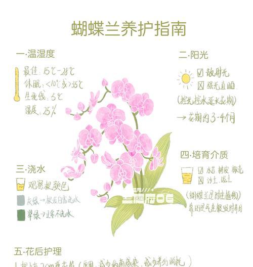 蝴蝶兰花催芽剂使用方法是什么？使用后多久发芽？