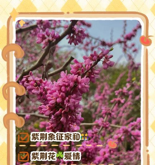 104朵花代表什么？104朵花的寓意和象征意义是什么？