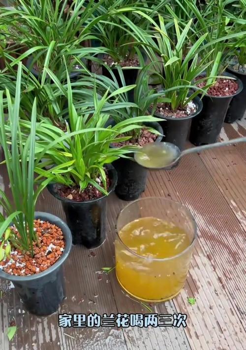 在家里怎么催芽花草呢？有哪些简单有效的方法？