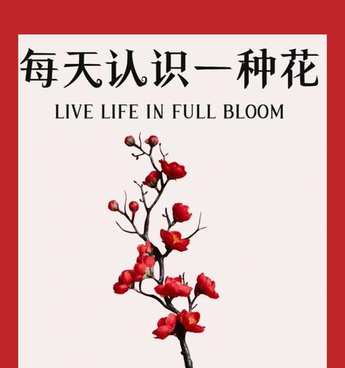 104朵花代表什么含义？花语背后的秘密是什么？