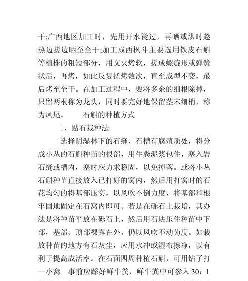 石斛种植方法有哪些？如何确保石斛生长旺盛？