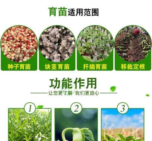 密封催芽后植物移植的最佳时机是什么时候？如何正确进行移植操作？