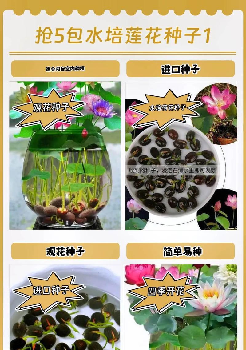 莲花种催芽种植方法是什么？需要多长时间才能发芽？