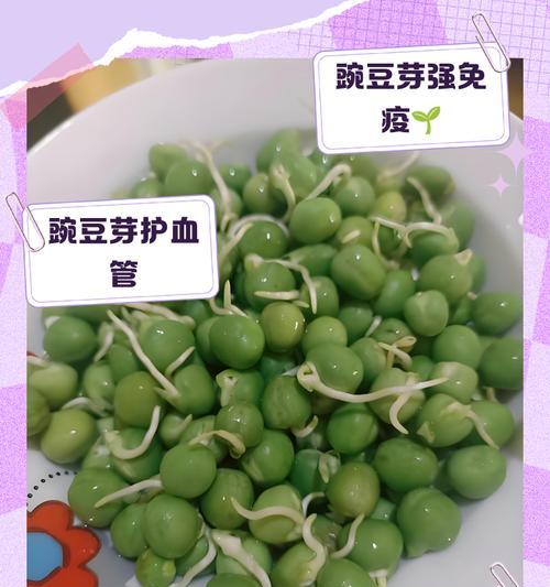 腕豆催芽的最佳方法是什么？需要多长时间才能发芽？