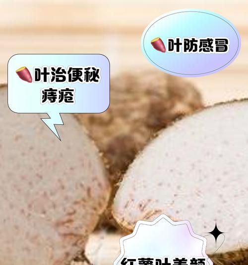 发芽山芋如何快速催芽？有效方法有哪些？