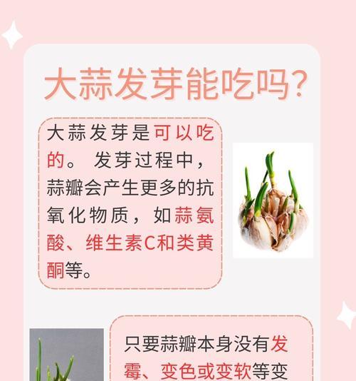蒜苗种子催芽方法是什么？如何提高发芽率？
