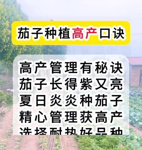 茄子催芽方法是什么？步骤和注意事项有哪些？
