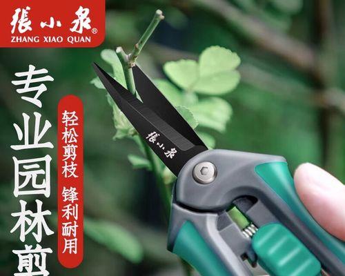洋瓜修剪枝条的最佳时机是什么时候？具体步骤有哪些？