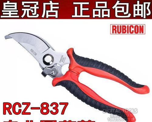 洋瓜修剪枝条的最佳时机是什么时候？具体步骤有哪些？