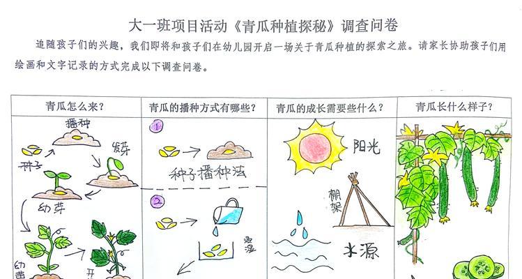 黄瓜豆角怎么种植方法？详细步骤和注意事项是什么？