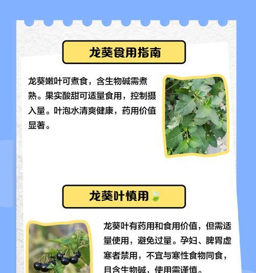 龙葵修剪枝叶的正确方法是什么？修剪后如何保持美观？