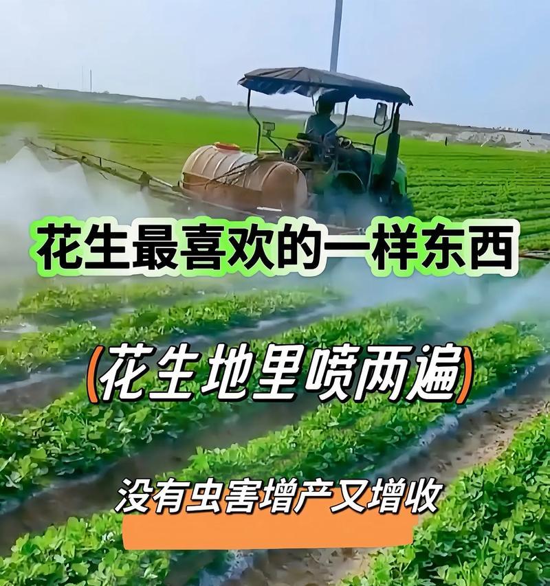 花生怎么种植方法？掌握这些步骤轻松种植！