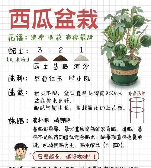 西瓜修剪枝怎么修剪？修剪的最佳时期和方法是什么？