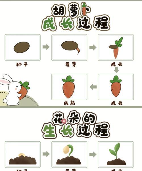 种子催芽温度调节方法是什么？调节不当会有哪些影响？