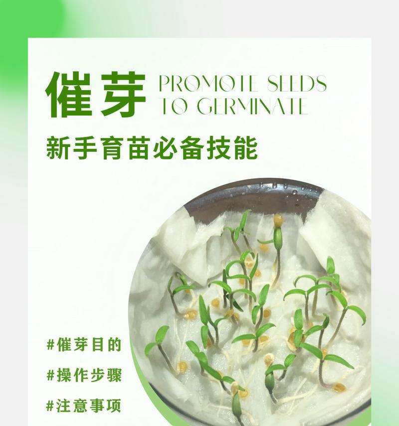 种子催芽温度调节方法是什么？调节不当会有哪些影响？