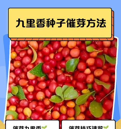 种子催芽温度调节方法是什么？调节不当会有哪些影响？