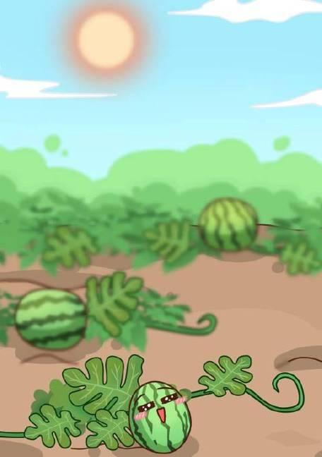 方形瓜种植方法有哪些？如何确保高产？