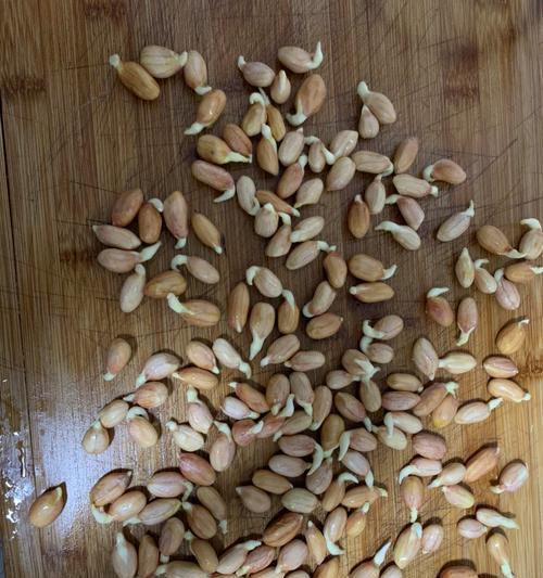 家里给花生催芽怎么做？步骤和注意事项是什么？