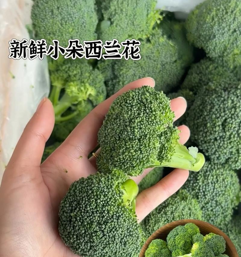 西兰花台怎么种植方法？有哪些步骤和注意事项？
