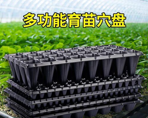 催芽密室内托盘上的秧盘摆放方法是什么？如何正确摆放以提高发芽率？