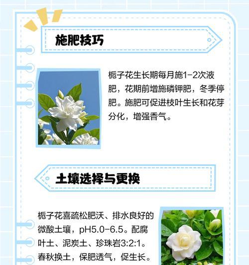 栀子树修剪枝的最佳时机是什么时候？修剪后需要注意什么？