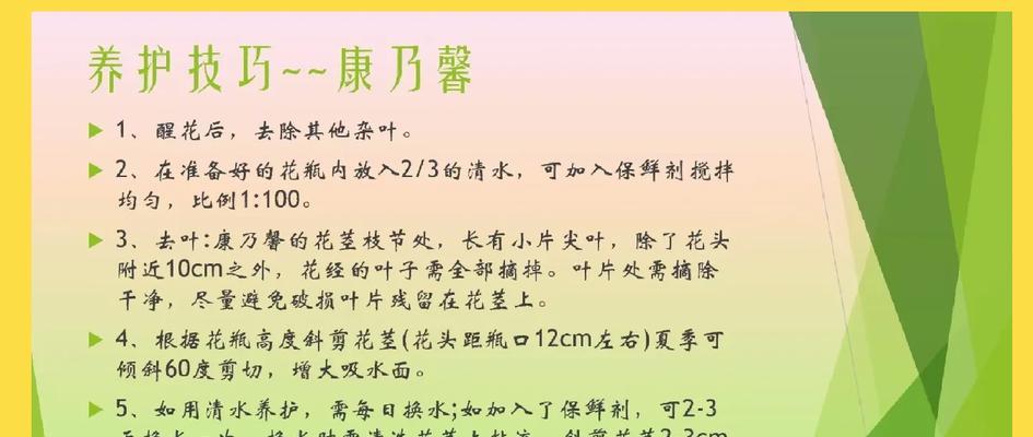 康乃馨花语是什么？不同颜色的康乃馨代表什么含义？