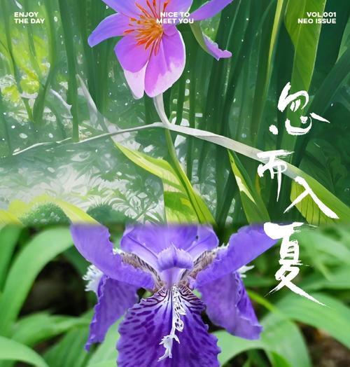 象征爱意的花香是什么花？哪种花最能代表爱情？