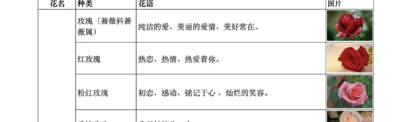 花语软件是什么意思？如何使用花语软件表达情感？